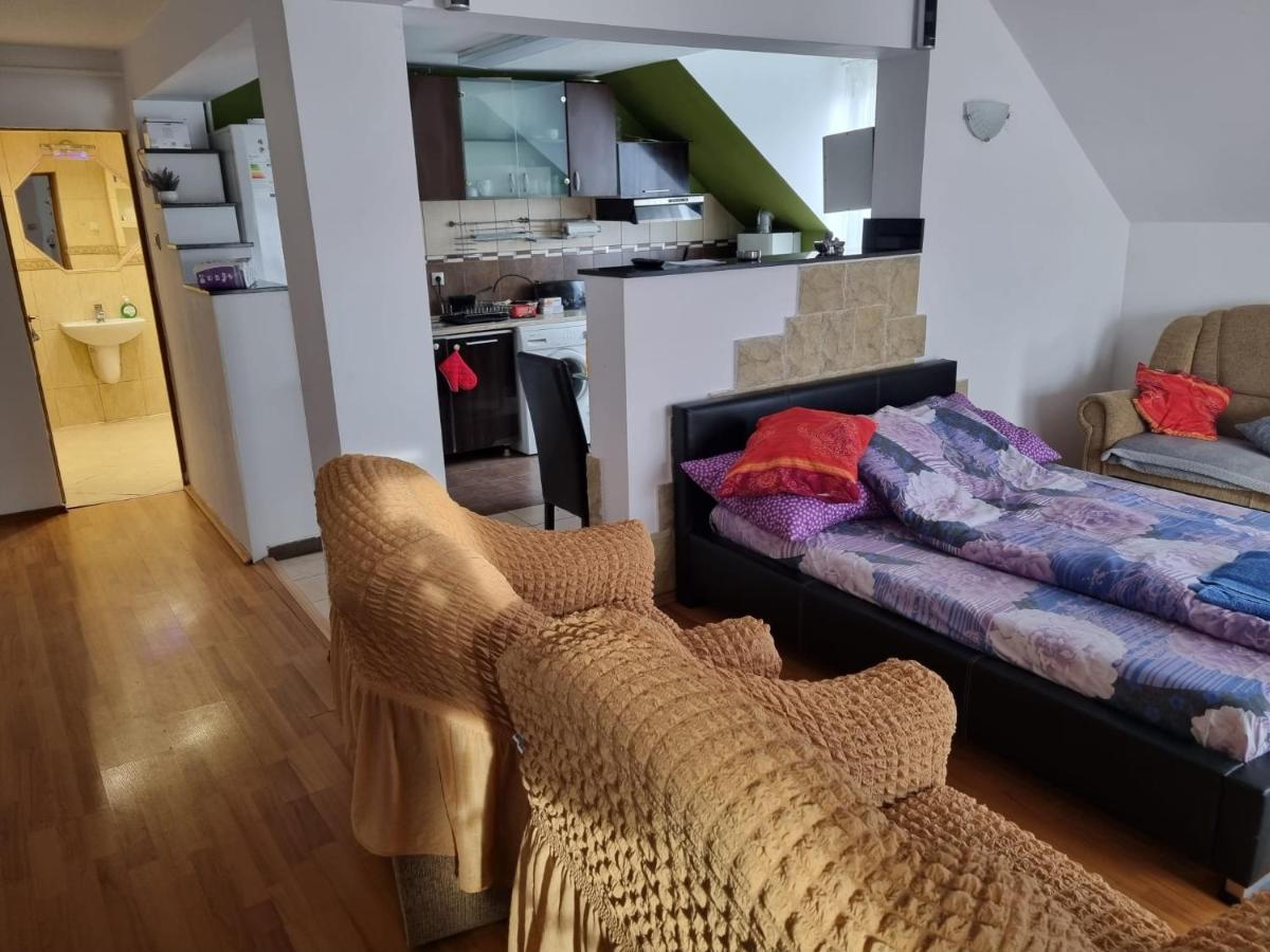 Penthouse Apartament 2 Floors, 2 Bedroom , 2 Bath, 120 Sqm , Inside Yard Parking 클루지나포카 외부 사진