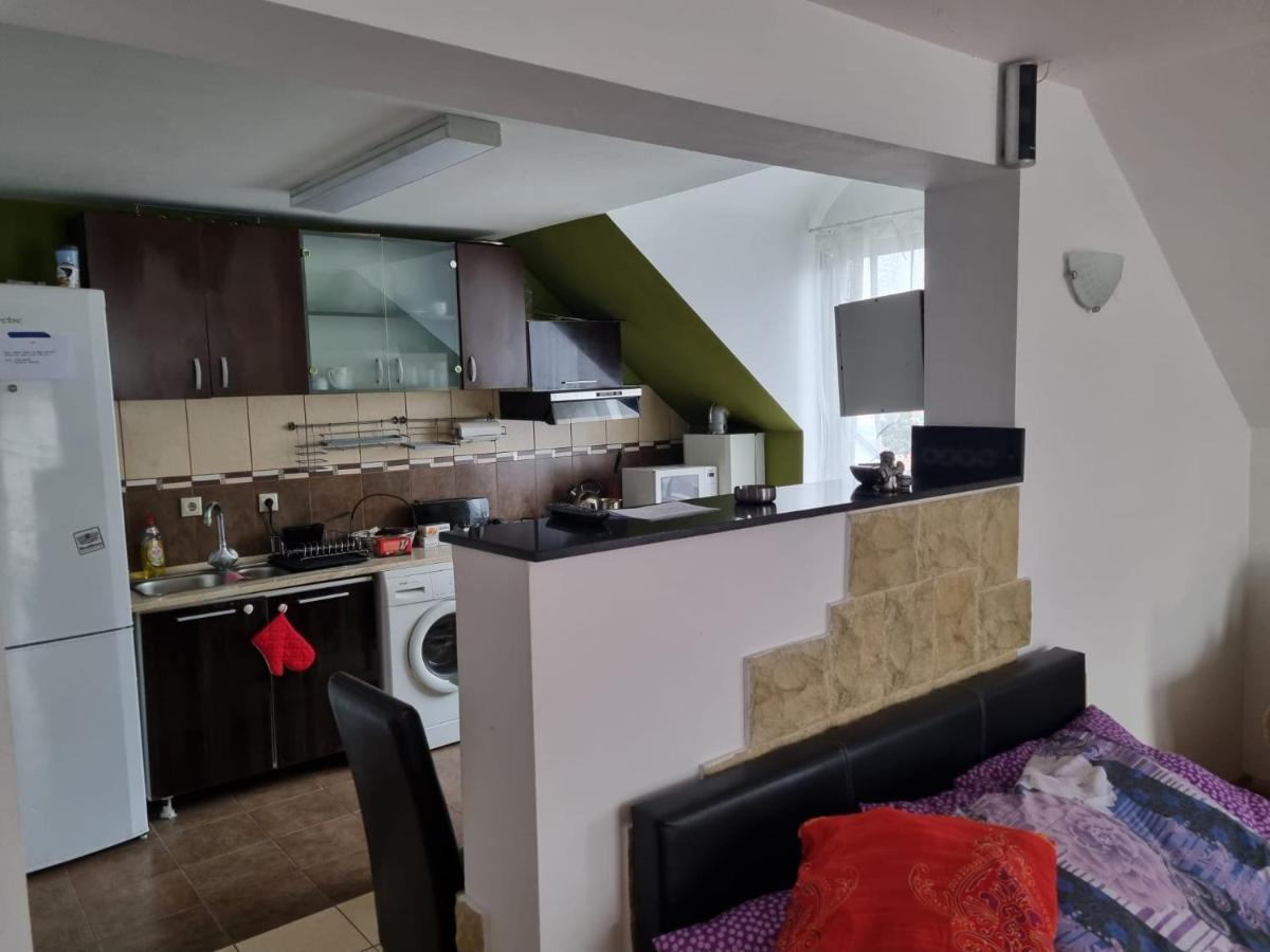 Penthouse Apartament 2 Floors, 2 Bedroom , 2 Bath, 120 Sqm , Inside Yard Parking 클루지나포카 외부 사진