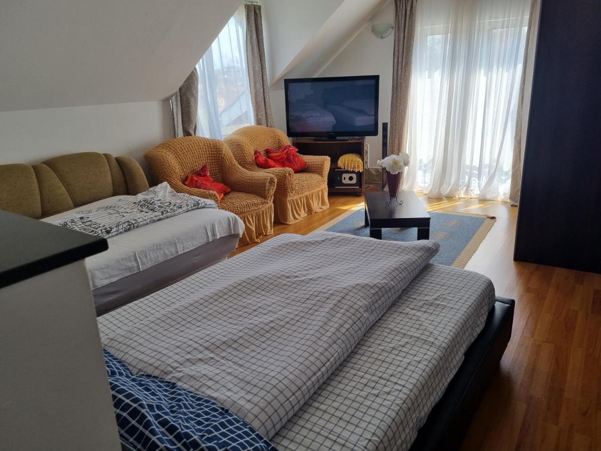 Penthouse Apartament 2 Floors, 2 Bedroom , 2 Bath, 120 Sqm , Inside Yard Parking 클루지나포카 외부 사진
